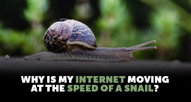 internet-speed-of-a-snail