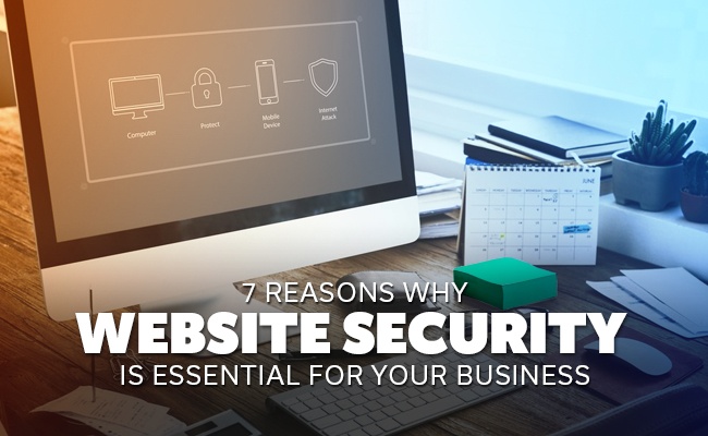 website-security-essentials